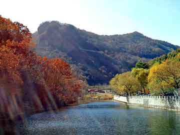 新澳天天开奖资料大全旅游团，莱芜购物网站